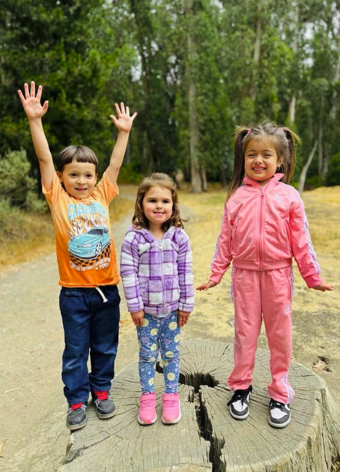 Three smiling children standing on a tree stump among tall trees at Tilden Regional Park